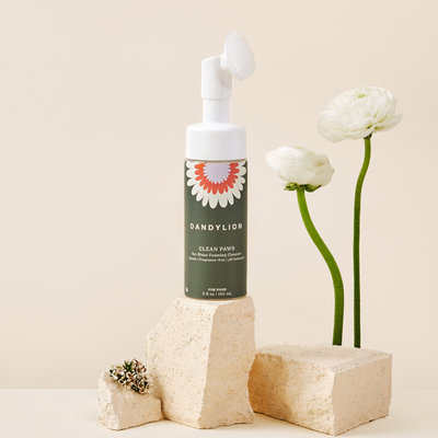 Clean Paws No-Rinse Foaming Cleanser