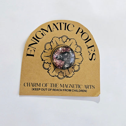 Enigmatic Poles: Magnets by Mel