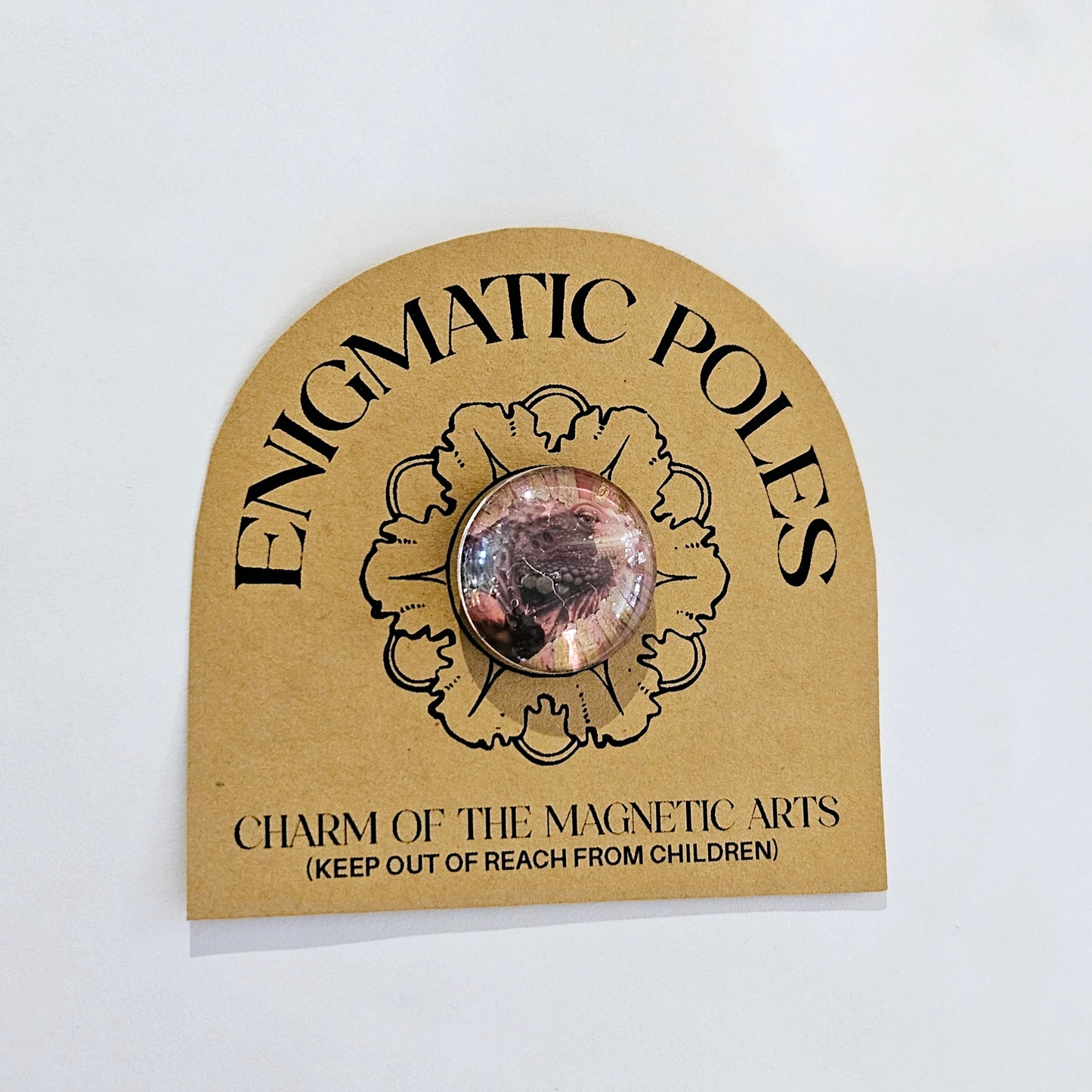 Enigmatic Poles: Magnets by Mel