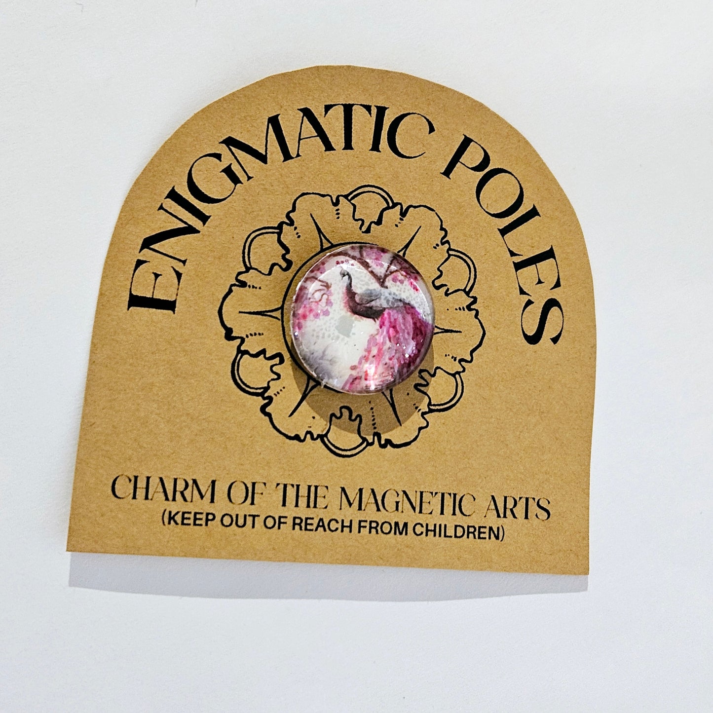 Enigmatic Poles: Magnets by Mel