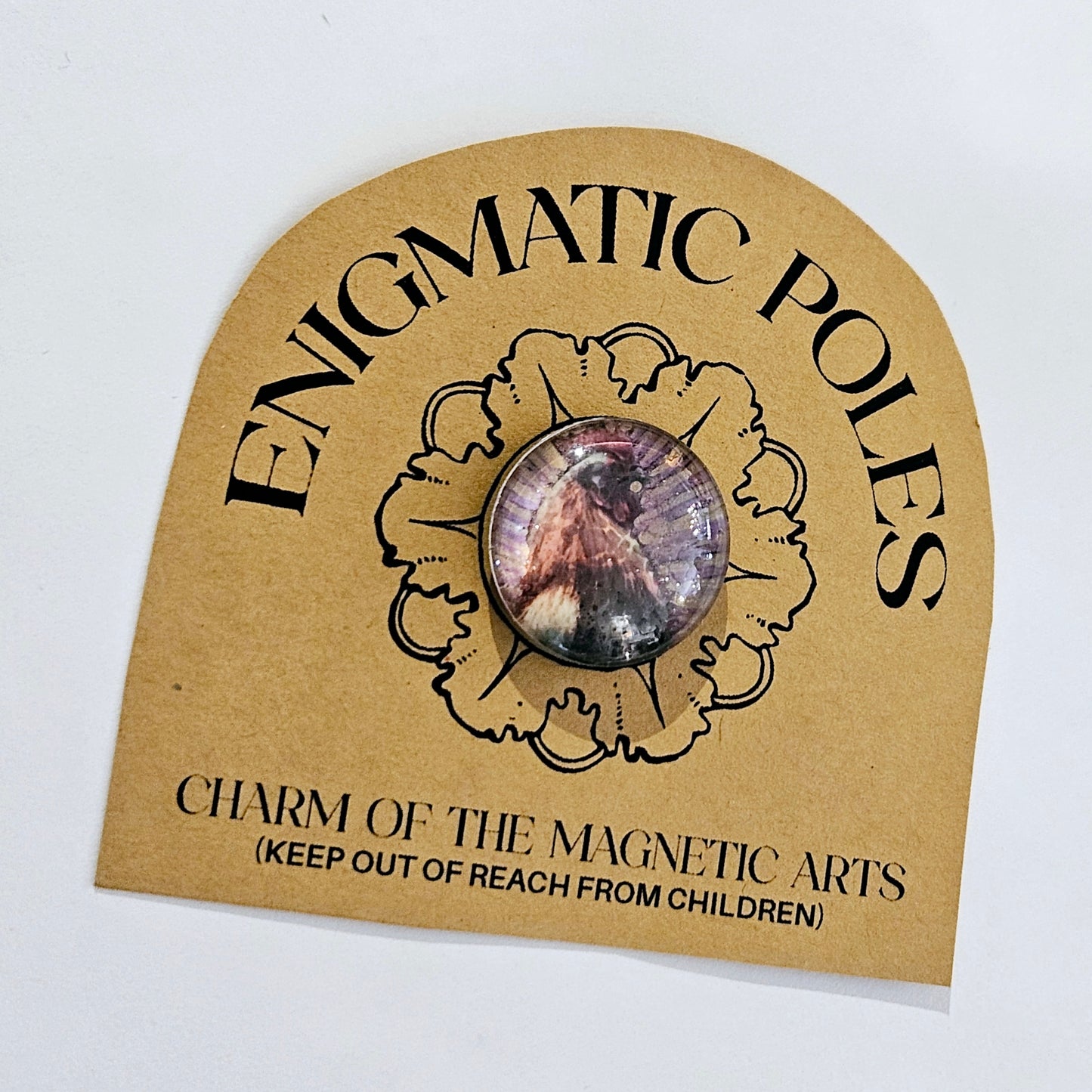 Enigmatic Poles: Magnets by Mel