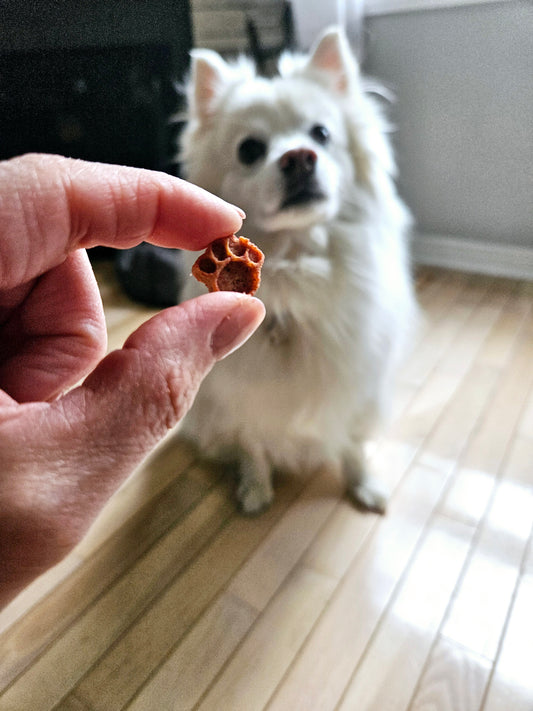 Dog Snacks - Peanut Butter & Beet Puppy Charms