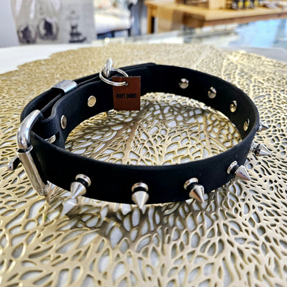 Biothane Dog Collars - by Rivet Dawg