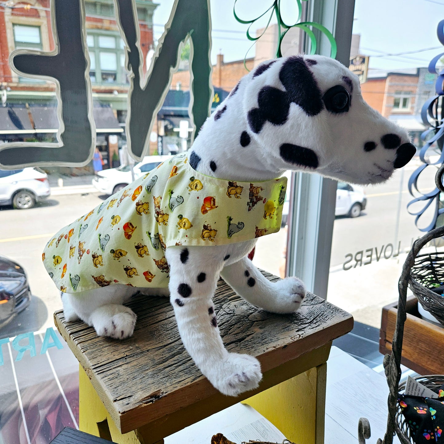 Pet Raincoats