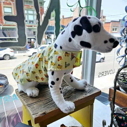 Pet Raincoats