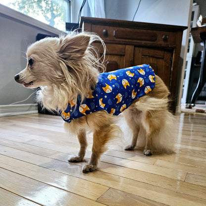 Pet Raincoats