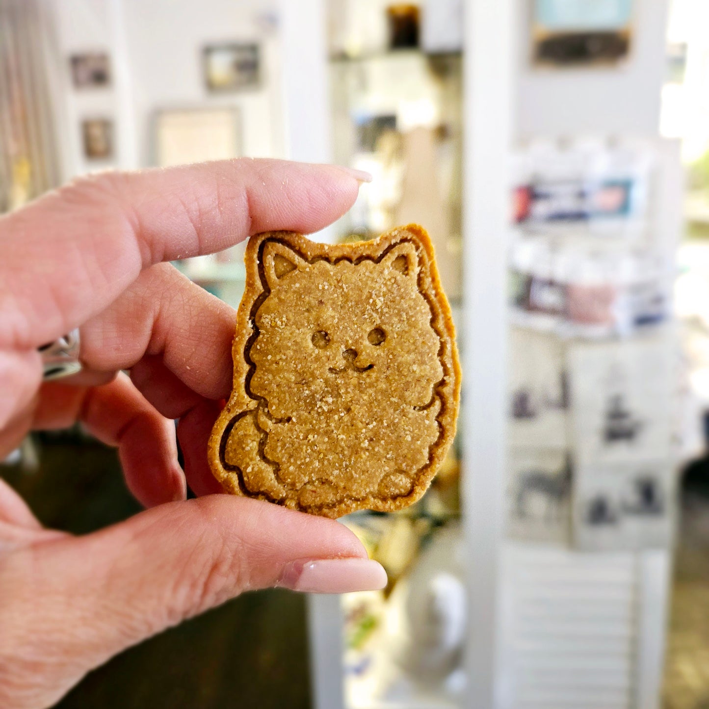 Dog Snacks - Peanut Butter Pupper Cookies