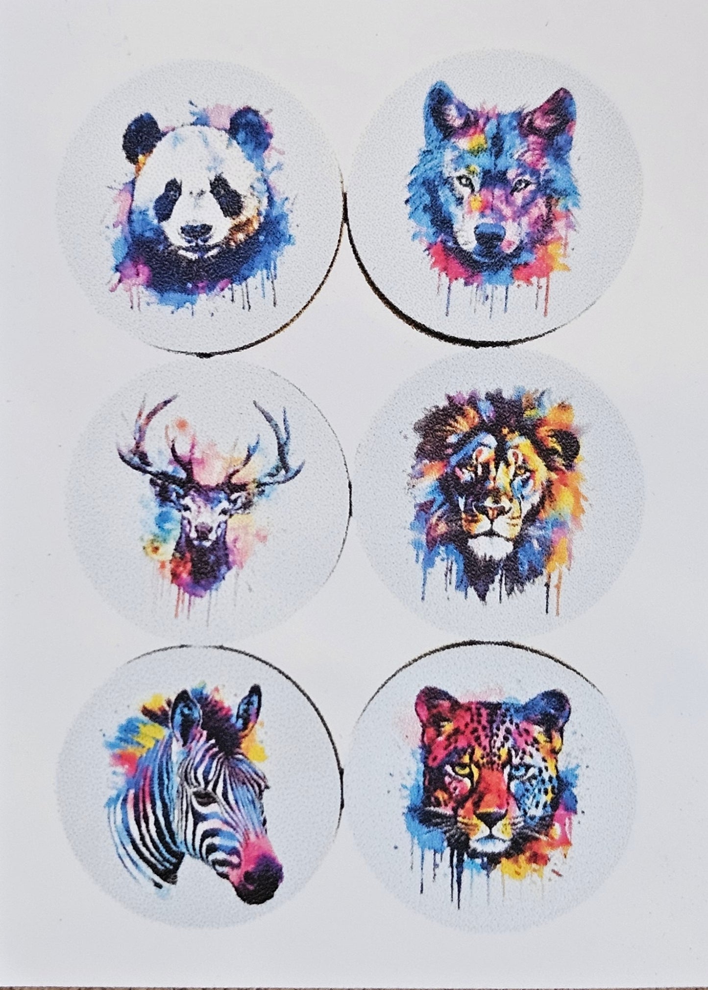 Coaster Sets