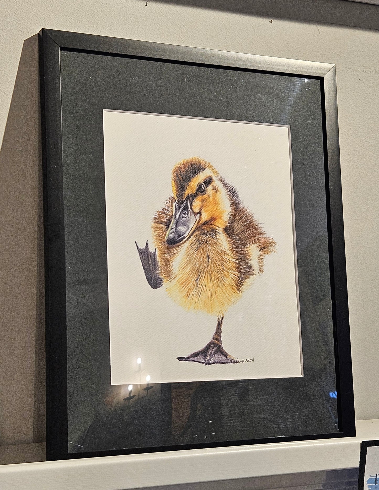 Original Wildlife Pencil Drawings