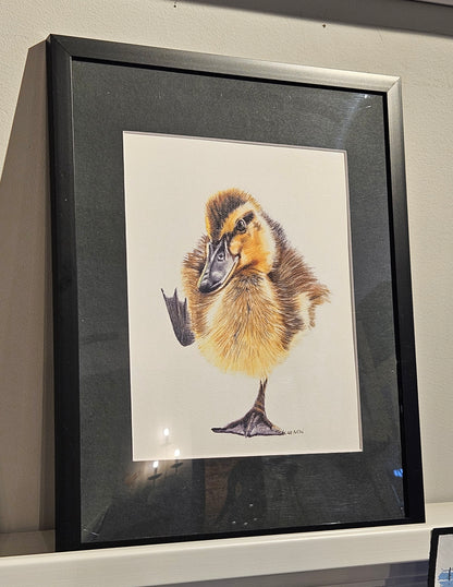 Original Wildlife Pencil Drawings