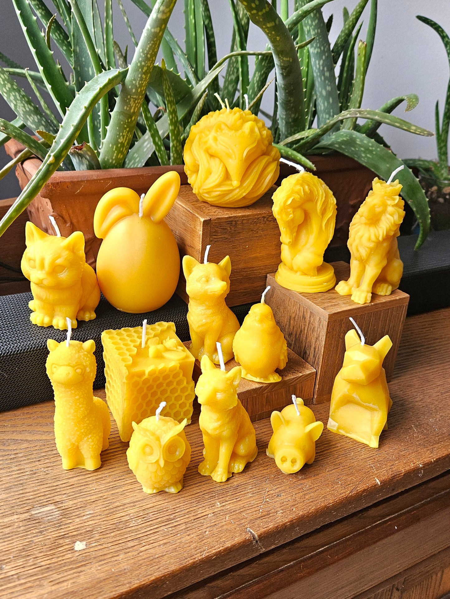 Beeswax Candles - by Nest