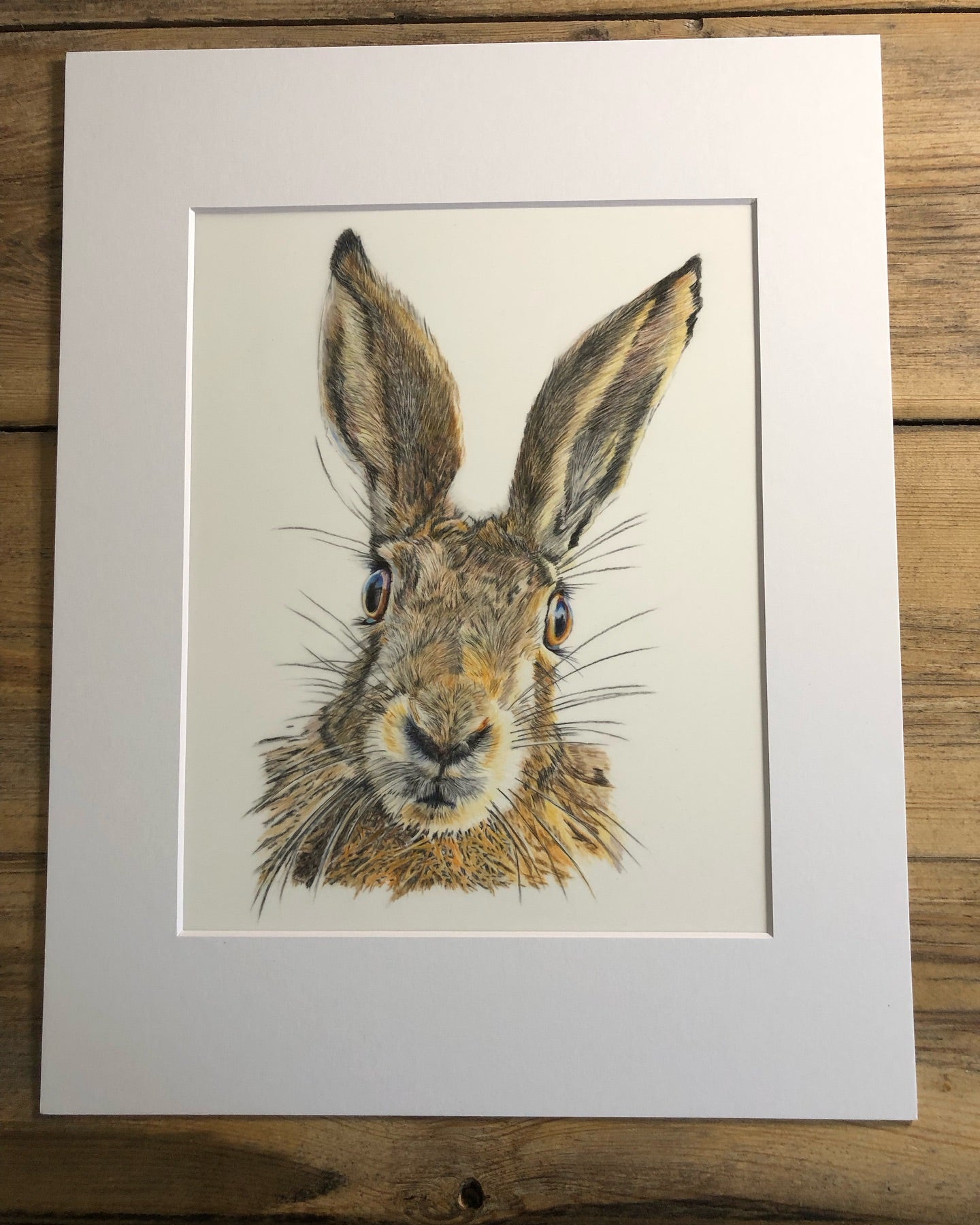 Original Wildlife Pencil Drawings