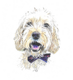Custom Pet Pencil Portraits - by Mili