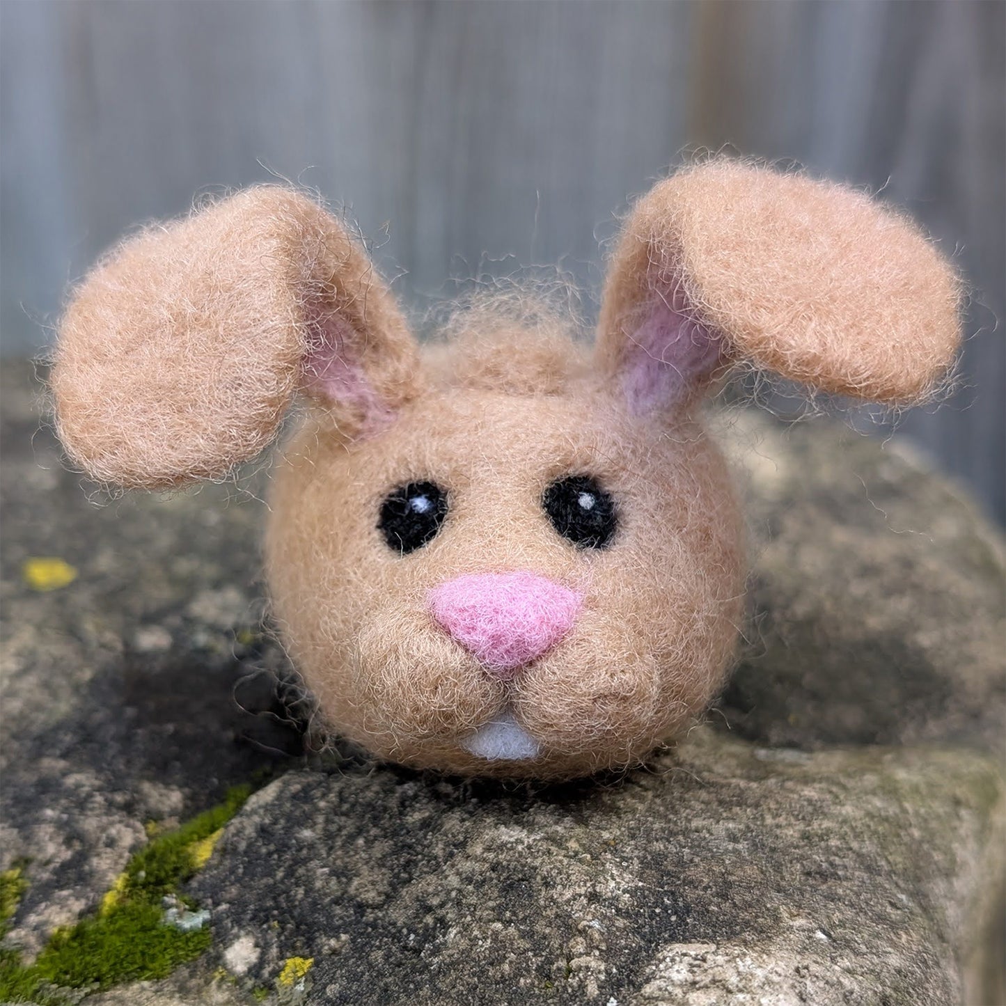 Bunny Needle Felting Workshop