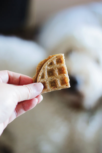 Treatoes Dog Treats - Cranberry Waffle Bites