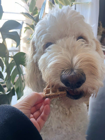 Treatoes Dog Treats - Cranberry Waffle Bites