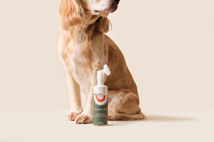 Clean Paws No-Rinse Foaming Cleanser