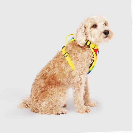 Canada Pooch: The Everything Harness Water-Resistant Series