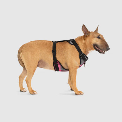 Canada Pooch: The Everything Harness Water-Resistant Series