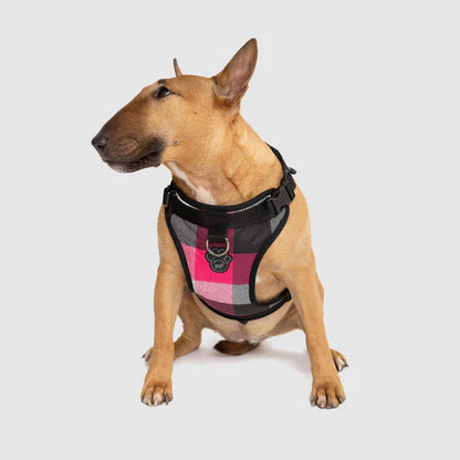 Canada Pooch: The Everything Harness Water-Resistant Series