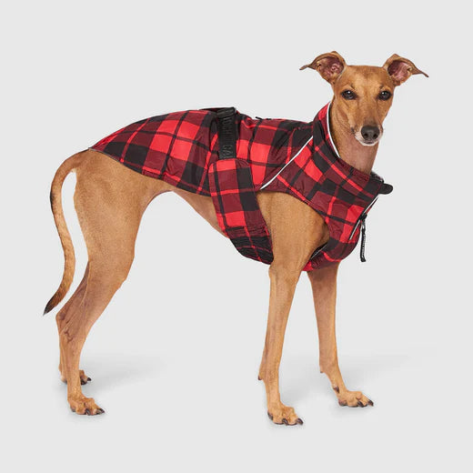 Canada Pooch® The Expedition Coat 2.0