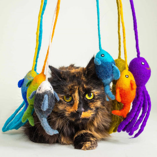 Natural Wool Felt Cat Toys