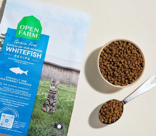 Open Farm Grain-Free Dry Cat Food - Whitefish Recipe