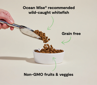 Open Farm Grain-Free Dry Dog Food - Whitefish Recipe