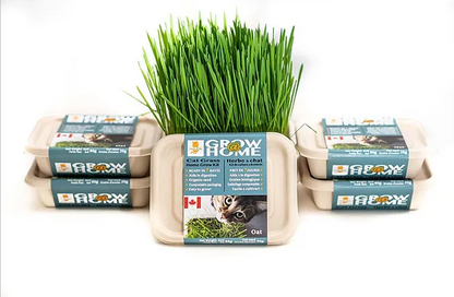 Fog Farms - Oat Grass Kit for Cats