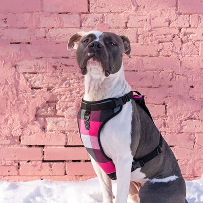 Canada Pooch: The Everything Harness Water-Resistant Series