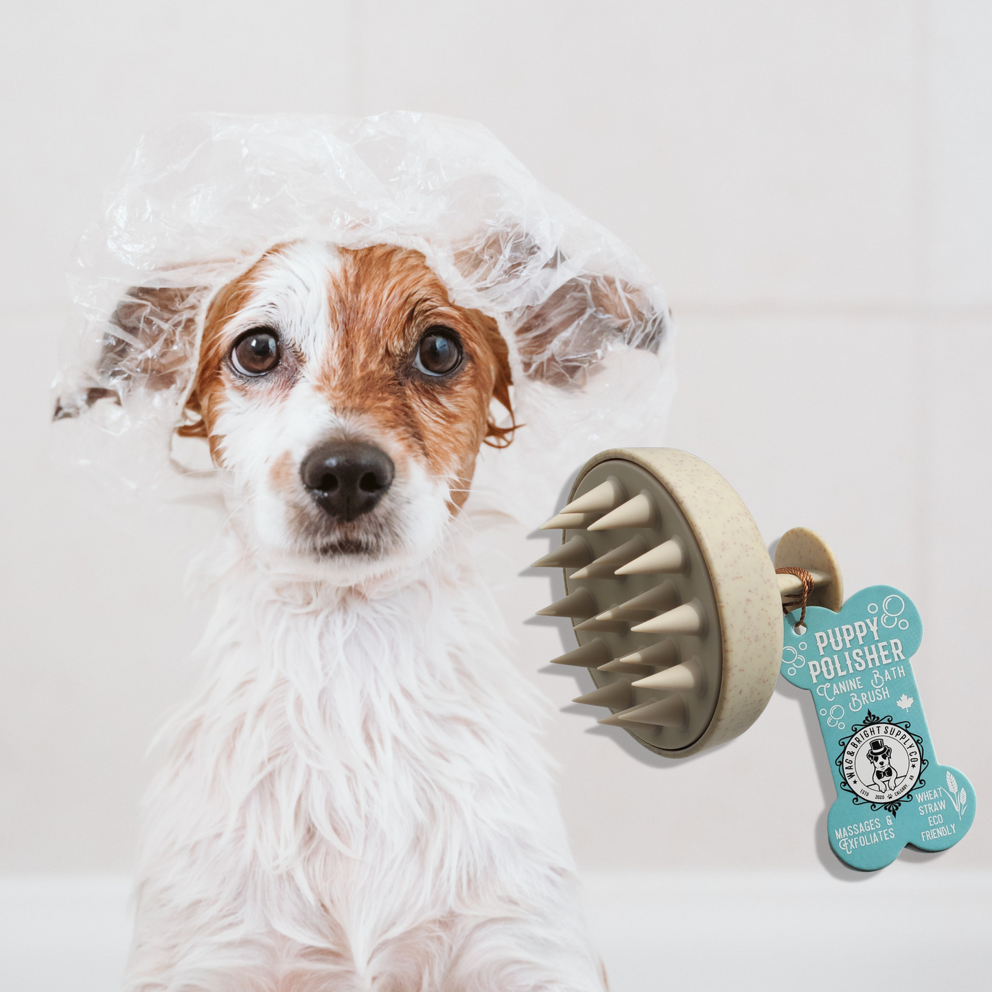 Puppy Polisher Canine Bath Brush