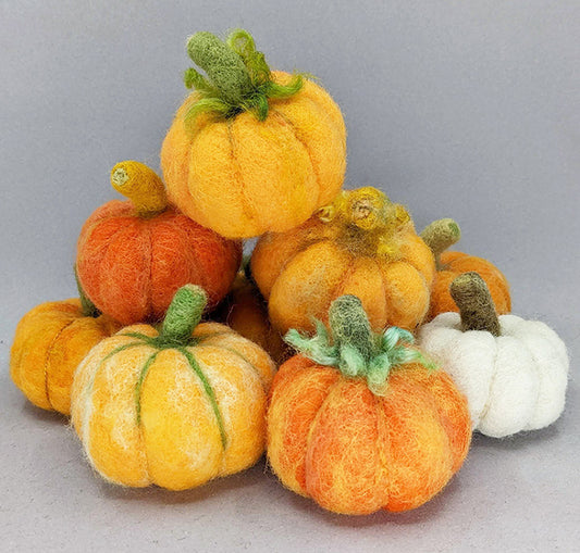 Needle Felting Kits - Small Pumpkin Gourds