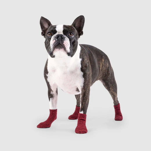 Canada Pooch® The Basic Sock