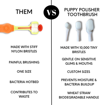 Puppy Polisher Eco Toothbrush