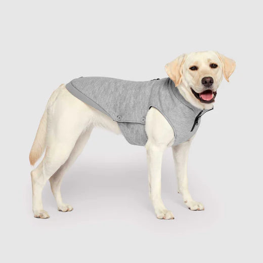 Canada Pooch® Waterproof Sweater – Nest Hamilton