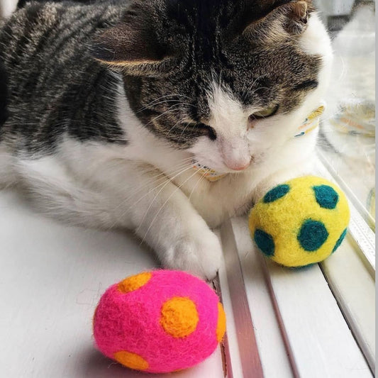 Natural Wool Felt Cat Toys