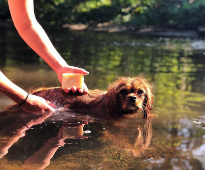 Dog Shampoo Bars