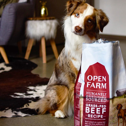 Open Farm Grain-Free Dry Dog Food - Grass-Fed Beef