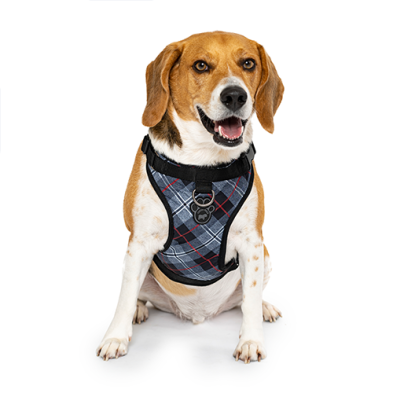 Canada Pooch: The Everything Harness Water-Resistant Series