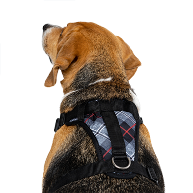 Canada Pooch: The Everything Harness Water-Resistant Series