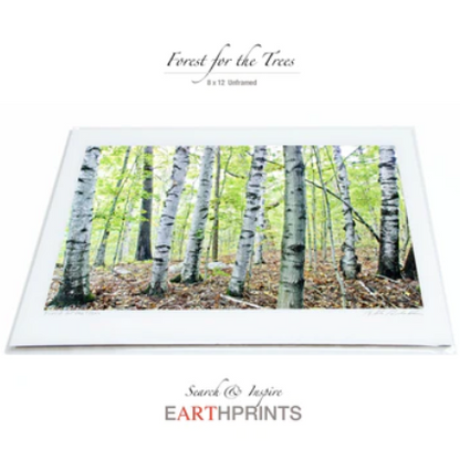 Earthprints by Blake Richardson