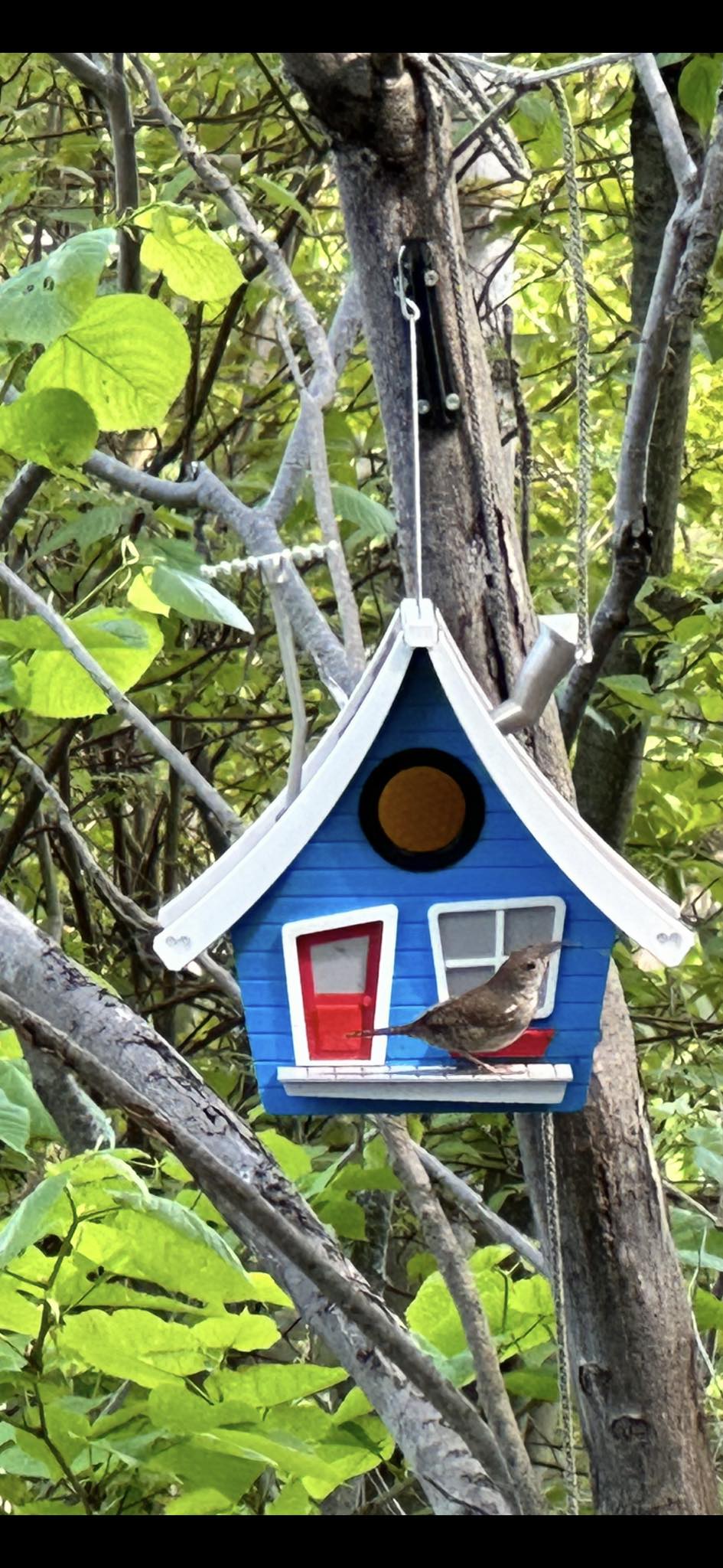 3D Printed Birdhouses