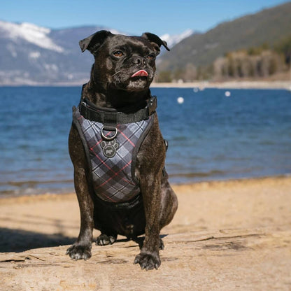 Canada Pooch: The Everything Harness Water-Resistant Series