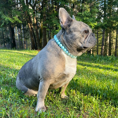 Bead Dog Collars