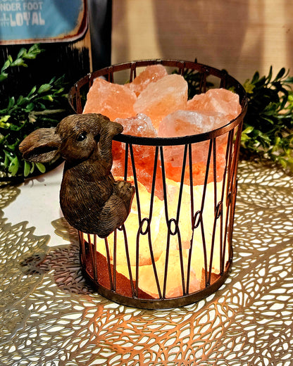 Salt Lamps