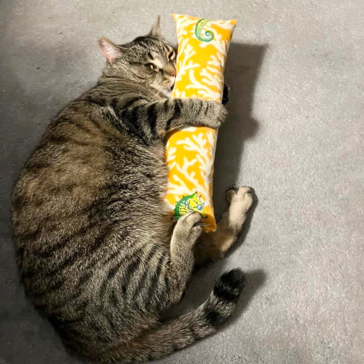 Catnip Kickers