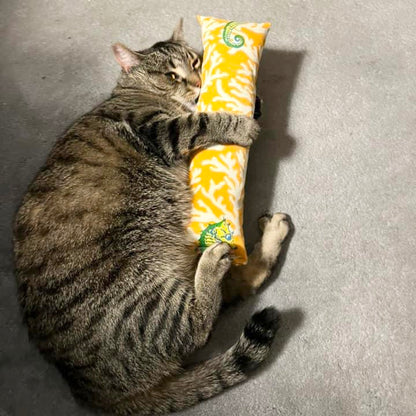 Catnip Kickers