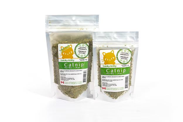 Organic Catnip