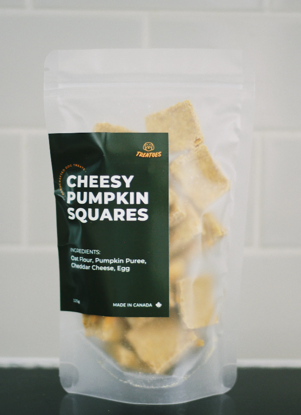 Treatoes Dog Treats - Cheesy Pumpkin Squares