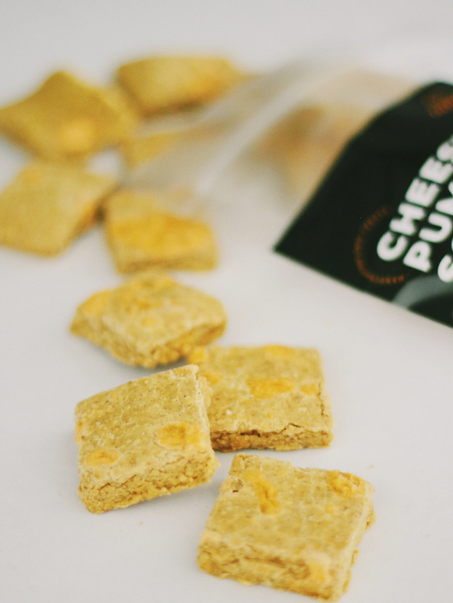 Treatoes Dog Treats - Cheesy Pumpkin Squares